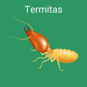 eliminar
